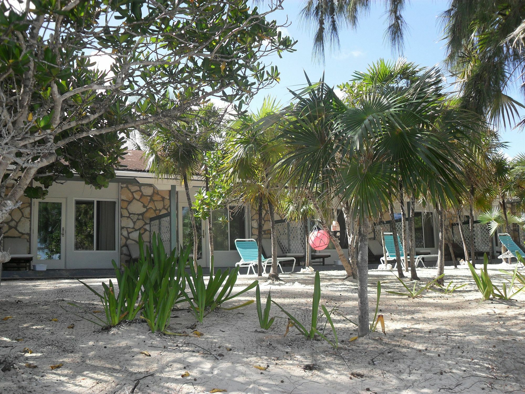 Pelican Beach Hotel Whitby Exterior photo
